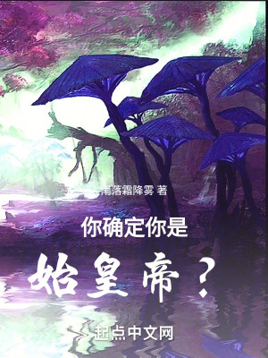 你确定你是始皇帝?